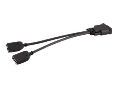 HP DMS-59 to Dual DisplayPort Kit