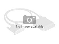Intel Serial Attached SCSI (SAS) internal cable - 36 pin 4i Mini MultiLane - 36 pin 4i Mini MultiLane - 2.4 ft (pack of 2 ) - for Server System R2208GZ4GC, R2216GZ4GC, R2308GL4GS, R2308GZ4GC, R2312GZ4GCSAS - Serial Attached SCSI (SAS) internal cable - 36 pin 4i Mini MultiLane - 36 pin 4i Mini MultiLane - 2.4 ft (pack of 2 ) - for Server System R2208GZ4GC, R2216GZ4GC, R2308GL4GS, R2308GZ4GC, R2312GZ4GCSAS