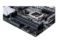 <%=shortdesc %> Gallery