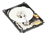 WD Scorpio WD2500BEVE - Disque dur - 250 Go - interne - 2.5 - ATA-100 - 5400 tours/min - mémoire tampon : 8 Mo