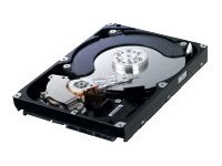 Samsung 8.9cm (3.5")   1TB SATA HD103SJ/ST1000DM005 7200