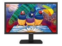 ViewSonic VA2451M-TAA