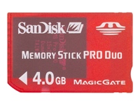 SanDisk Gaming