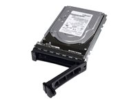 Dell - Hard drive - 2 TB