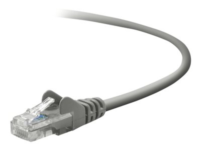 Belkin