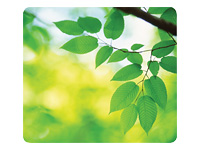 Fellowes Recycled Mouse Pad Leaves
