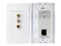 StarTech.com Composite Wall Plate Video Extender over Cat 5 with Stereo Audio
