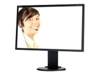 NEC MultiSync E222W - &Eacute;cran LCD - 22" - 1680 x 1050 HD - TN - 250 cd/m2 - 1000:1 - 5 ms - DVI-D, VGA - argent&eacute;(e) - NEC MultiSync E222W - &Eacute;cran LCD