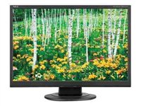 NEC AccuSync AS221WM - Écran LCD - TFT - 22 - écran large - 1680 x 1050 - 250 cd/m2 - 1000:1 - 5 ms - 0.282 mm - DVI-D, VGA - haut-parleurs
