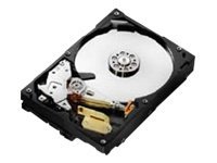 Hitachi Deskstar 7K1000.C HDS721010CLA332