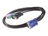 APC cable de teclado / vídeo / ratón (KVM) - 3.66 m