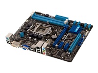ASUS P8H61-M LE/CSM