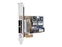 HP Smart Array P421/1GB with FBWC