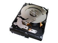 Seagate SV35 Series ST1000VX000