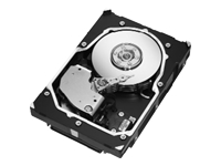 Seagate Cheetah 15K.5
