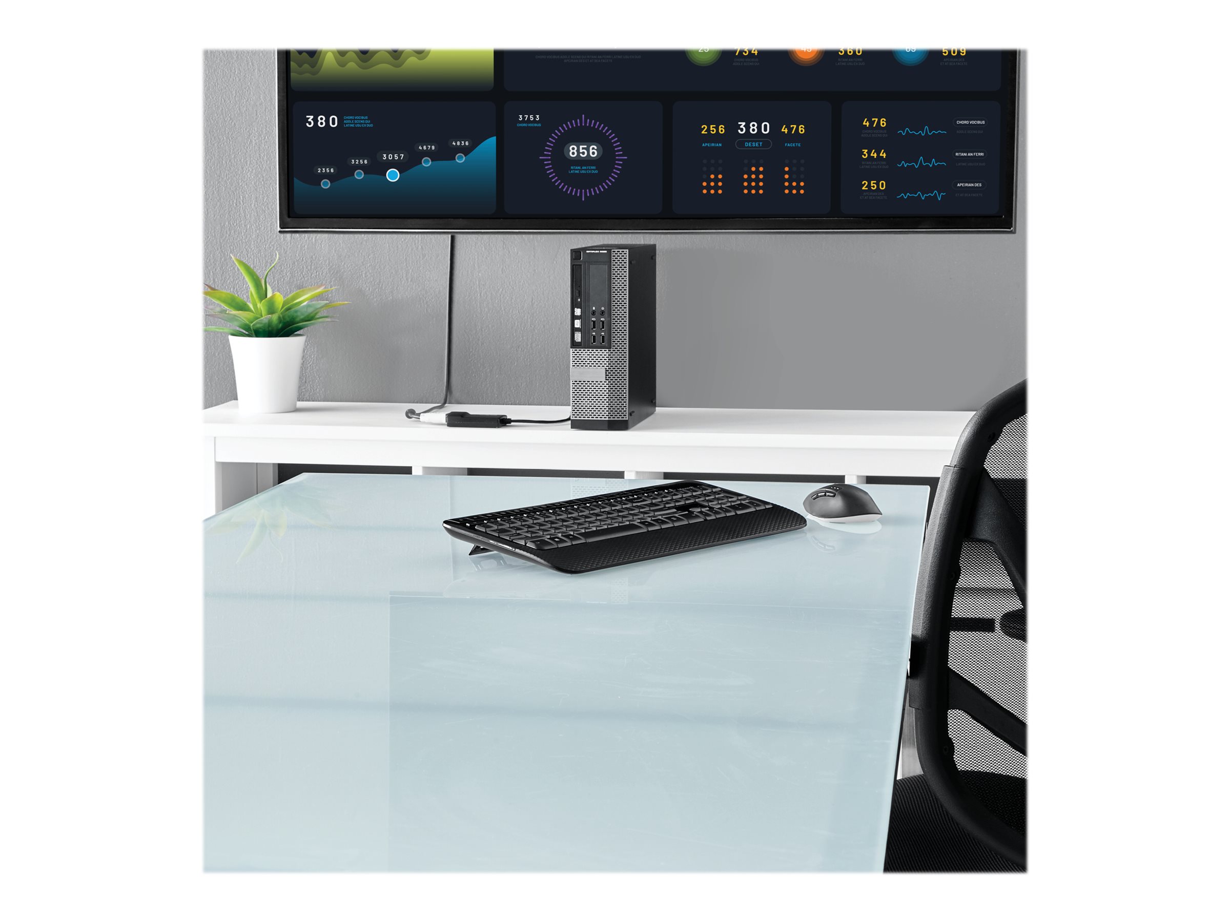 DP2DVID2 | STARTECH.COM